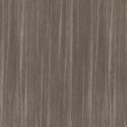 Стільниця Abet Laminati Лицар Алмерія 1963 ROOT 4200*1300*12мм