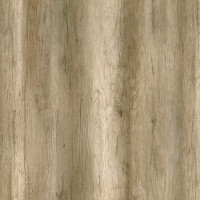 Компакт-плита Abet Laminati Дуб звичайний 669 ROOT 4200*1300*12мм