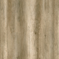 Стільниця Abet Laminati Дуб звичайний 669 ROOT 4200*1300*12мм
