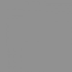 Плита Luxeform Acryl MT-AF-801U Лісовий вовк матовий 2800х1300 18мм