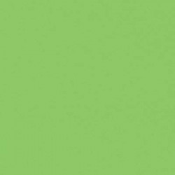 Пластик ARPA 0660 LUCIDA, ERRE