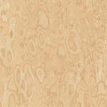 Пластик ARPA 1861 LUCIDA