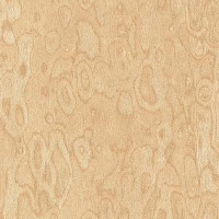 Пластик ARPA 1861 LUCIDA