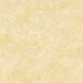 Пластик ARPA 2525 LUCIDA