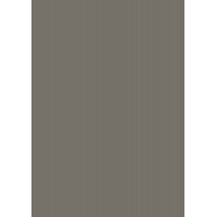 Компакт-плита Fundermax Warm Grey Dark 0755 SX 4100*600 12мм