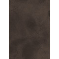 Компакт-плита Fundermax Saloon 0528 FH 4100*600 12мм