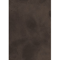 Компакт-плита Fundermax Saloon 0528 FH 4100*600 12мм