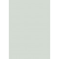 Компакт-плита Fundermax Birch Grey 0741 SX 4100*600 12мм