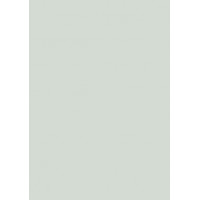 Компакт-плита Fundermax Birch Grey 0741 SX 4100*600 12мм