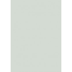 Стільниця Fundermax Birch Grey 0741 SX 4100*600 12мм