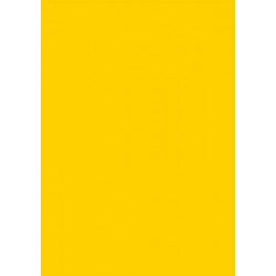 Стільниця Fundermax Mango 0010 FH/WC 4100*600 12мм