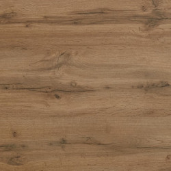 Стільниця Luxeform Дуб Торонто L146 3050*600мм